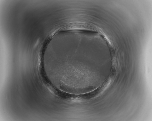 X0000087630259200705101033