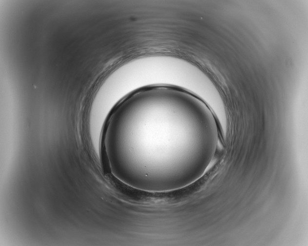 X0000087630260200705101033