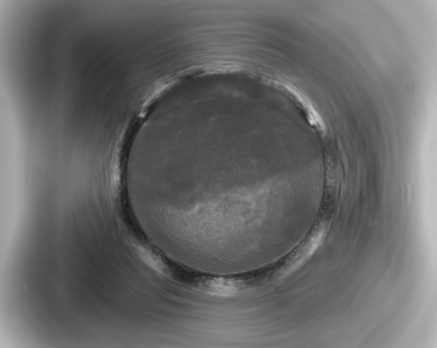 X0000087630261200705101033