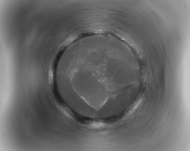 X0000087630262200705101033