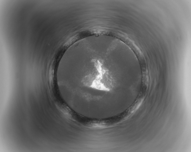 X0000087630263200705101033