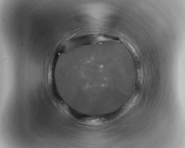 X0000087630267200705101033