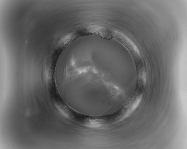 X0000087630268200705101033