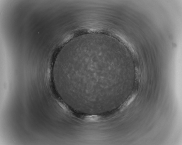 X0000087630269200705101033