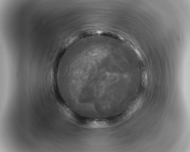 X0000087630270200705101033