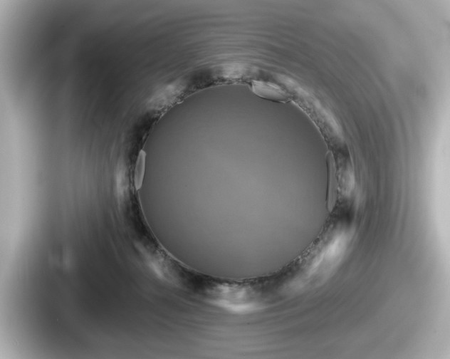 X0000087630272200705101033