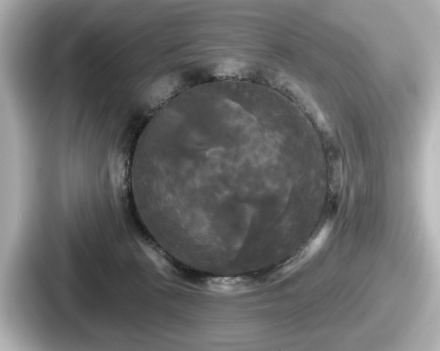 X0000087630273200705101033