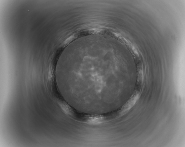 X0000087630274200705101033