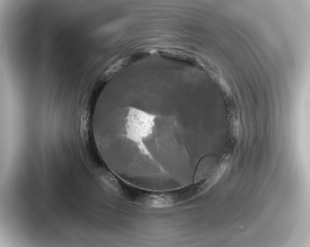 X0000087630275200705101033