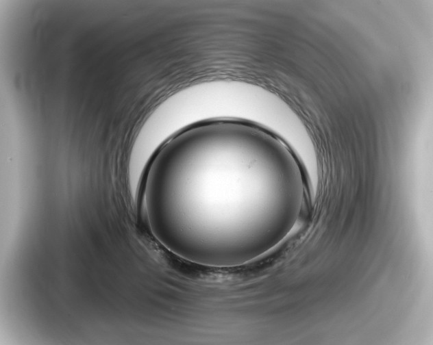 X0000087630276200705101033