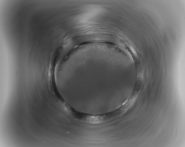 X0000087630277200705101033