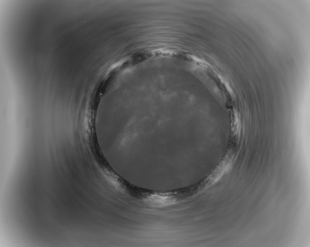 X0000087630280200705101034