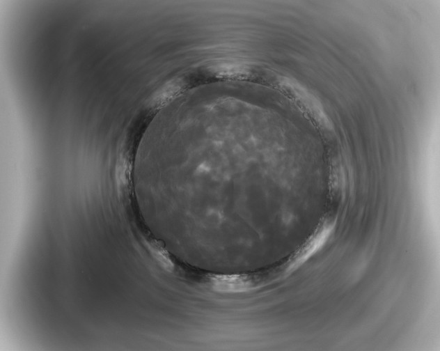 X0000087630281200705101034