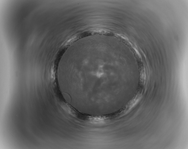 X0000087630282200705101034