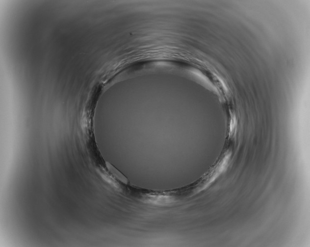 X0000087630284200705101034