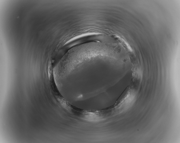 X0000087630285200705101034