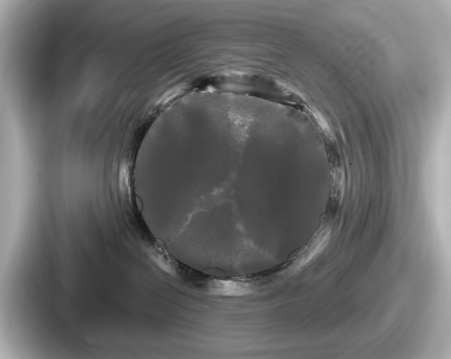 X0000087630286200705101034