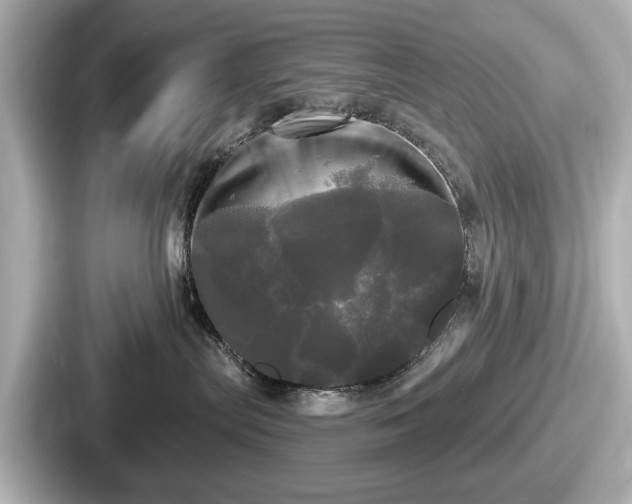 X0000087630287200705101034