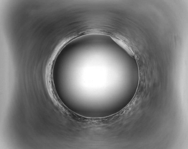 X0000087630289200705101033