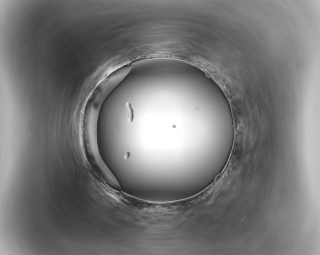 X0000087630290200705101033