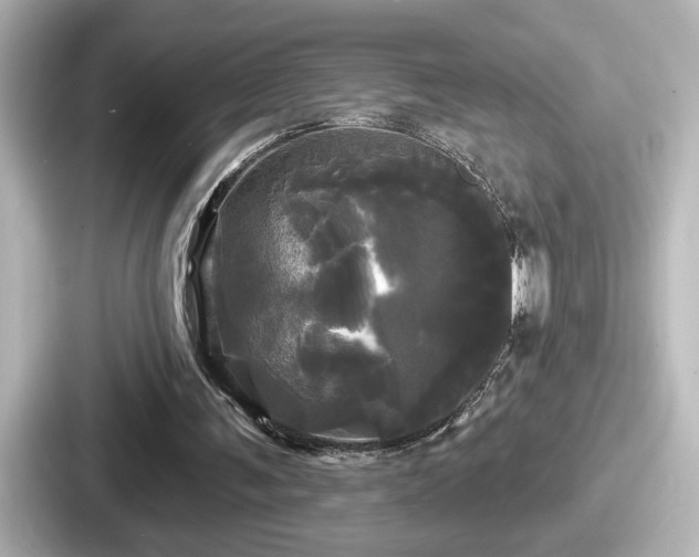 X0000087630291200705101033