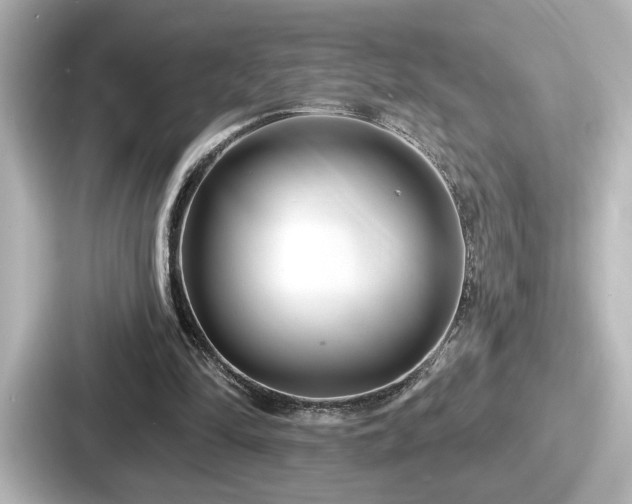 X0000087630294200705101033