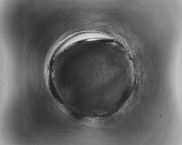 X0000087630295200705101033