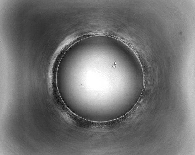 X0000087630296200705101033