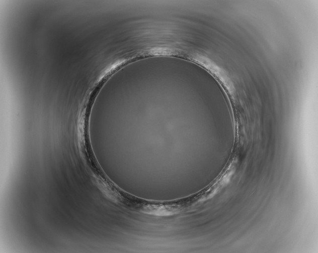 X0000087630297200705101033