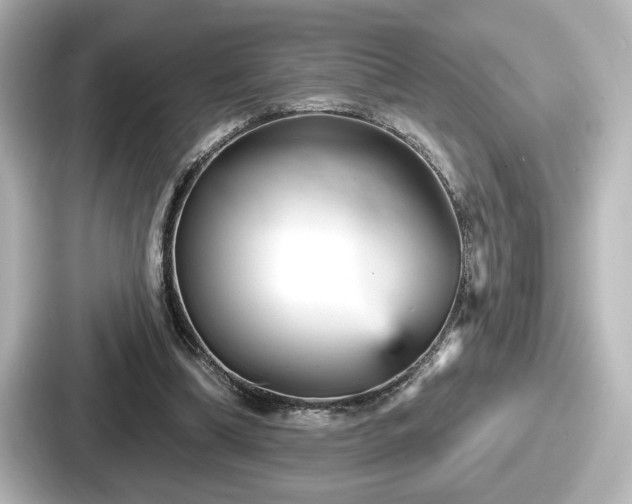 X0000087630298200705101033