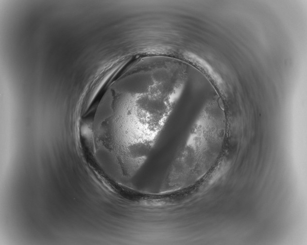 X0000087630299200705101033