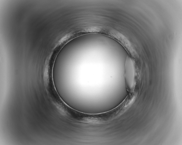 X0000087630300200705101033