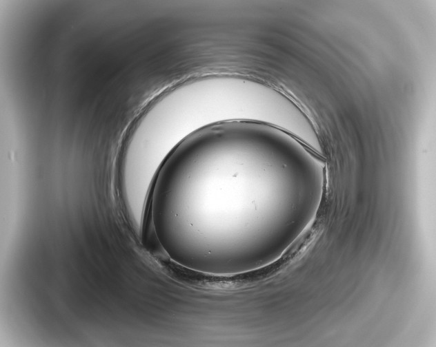 X0000087630301200705101033