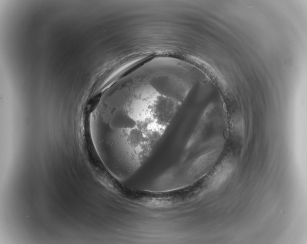 X0000087630303200705101033