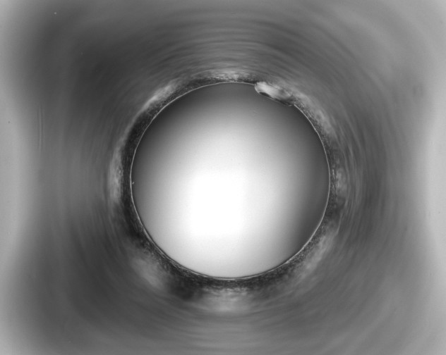 X0000087630304200705101033