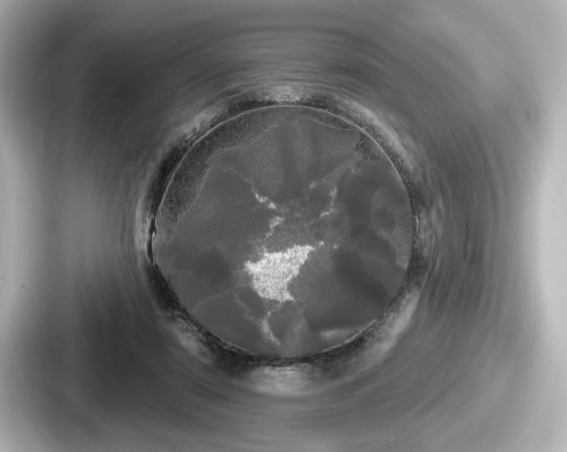 X0000087630307200705101033