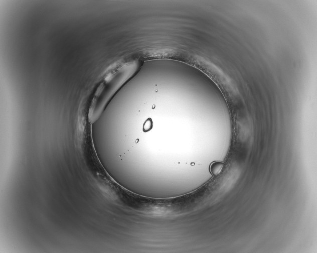 X0000087630308200705101033