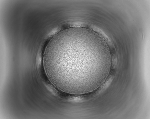 X0000087630310200705101033