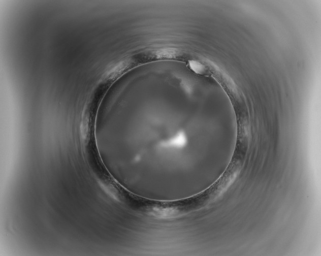 X0000087630311200705101033