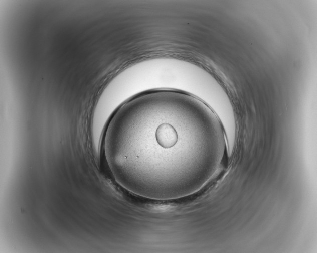 X0000087630313200705101033