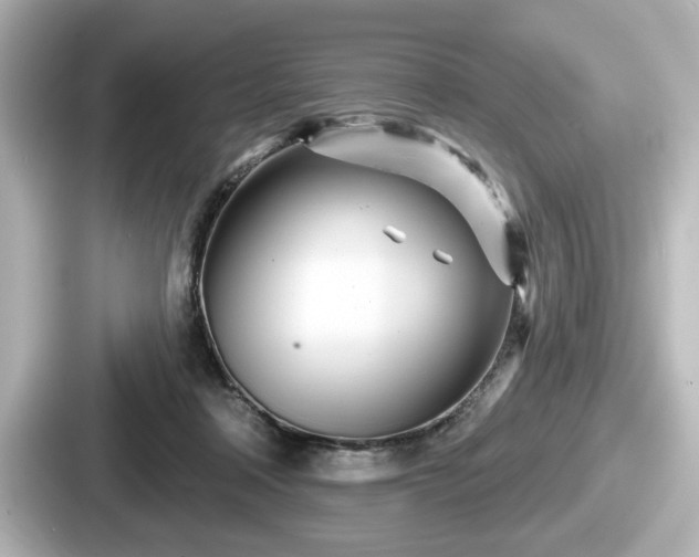 X0000087630314200705101033