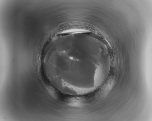 X0000087630315200705101033