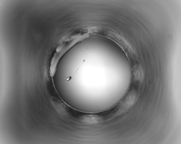 X0000087630316200705101033