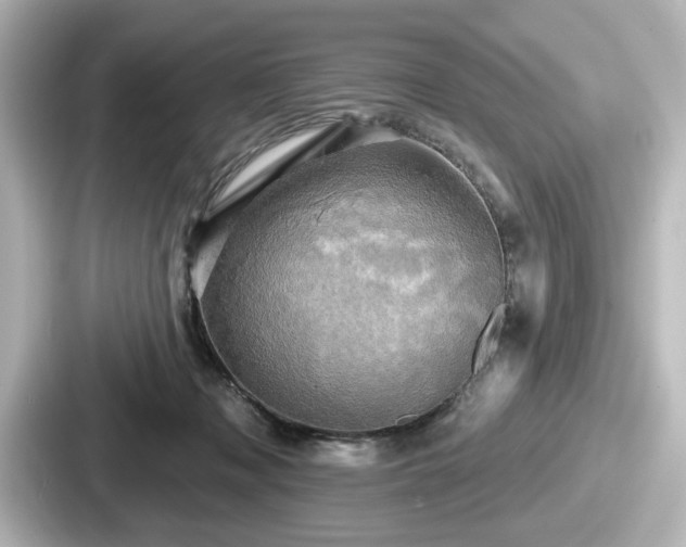 X0000087630317200705101033