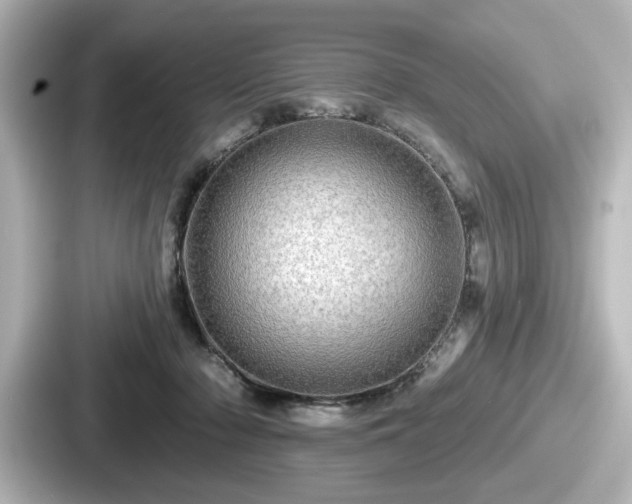 X0000087630318200705101033