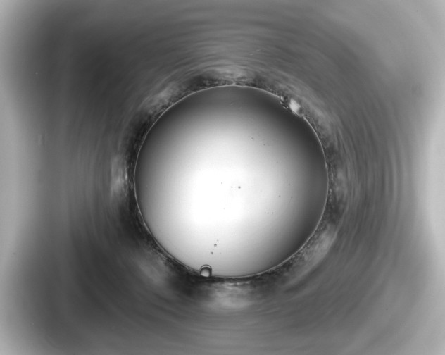 X0000087630320200705101033