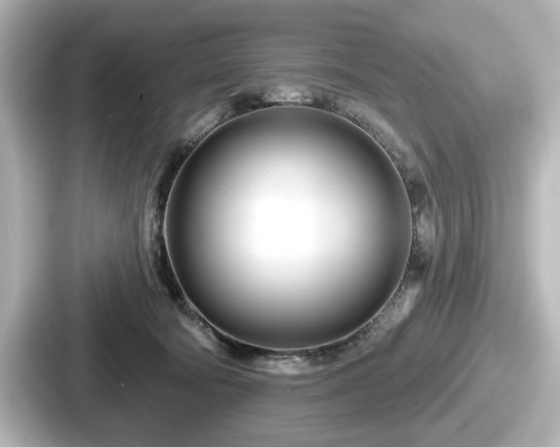 X0000087630322200705101033