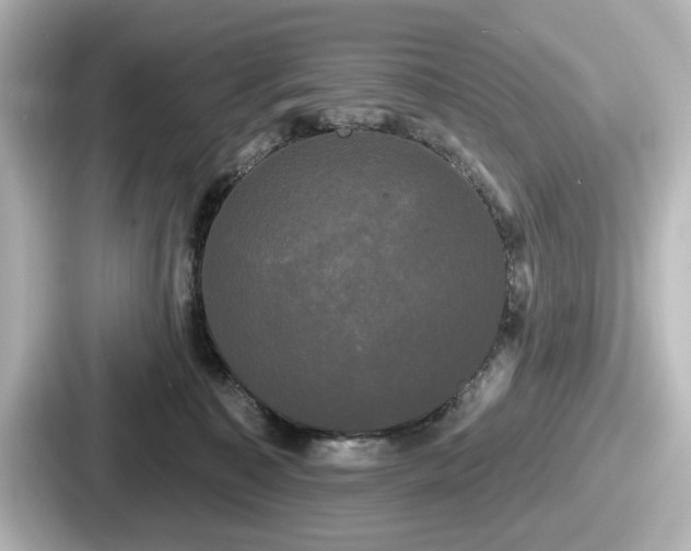 X0000087630323200705101033