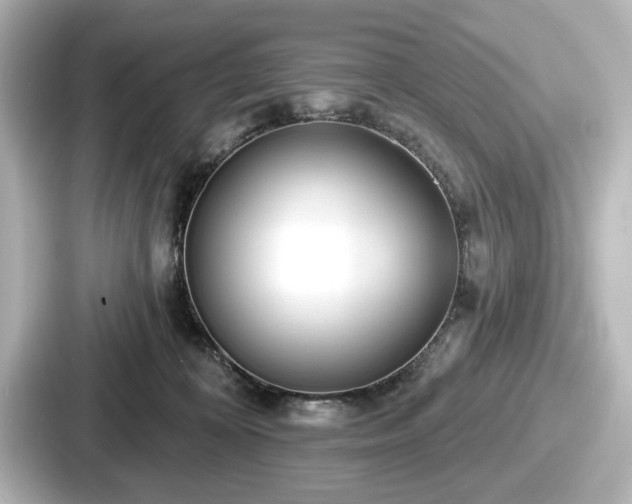 X0000087630324200705101033