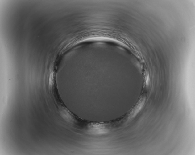 X0000087630325200705101033